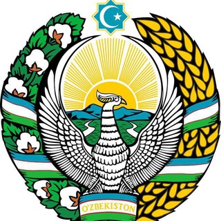 Telegram channel Termiz shahar Yoshlar kanali logo