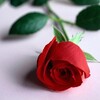 Логотип телеграм канала @otnosheniya_sex_psixologiya — Отношения. Психология любви, секса❤️