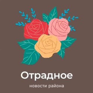 Логотип телеграм канала @otradnoeotradnoe — Отрада в Отрадном