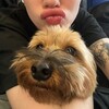Логотип телеграм канала @otvaliteyasplu — московское быдло и чивас