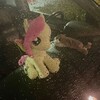 Логотип телеграм канала @otzzel19z — review fr Elizabeth.