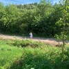 Логотип телеграм канала @our_estate — Поместье Васильевых