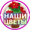 Логотип телеграм канала @ourflowers1 — Наши цветы | Советы | Лайфхаки