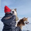 Логотип телеграм канала @outdog — OUTDOG trekking | Походы | Путешествия