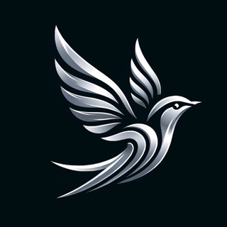 Логотип телеграм канала @outline_freekey — Outline | Бесплатные ключи VPN | Vless