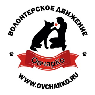 Логотип телеграм канала @ovcharko — @ovcharko