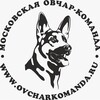 Логотип телеграм канала @ovcharkomanda — Московская овчар-команда