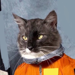 Telgraf kanalının logosu overcatby — Overcatby