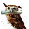 Логотип телеграм канала @owl_lair — Логово сыча-библиофила