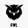 Логотип телеграм канала @owl_sneakers — owl 🦉
