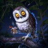 Логотип телеграм канала @owlfilin — Owl Shop