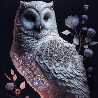Логотип телеграм канала @owls_di — Совы (Owls) 🦉