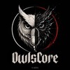 Логотип телеграм канала @owlscore — OwlsCORE
