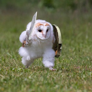 Логотип телеграм канала @owlsova1991 — Авито бизнес идеи с нуля