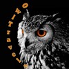 Логотип телеграм канала @owltravels_club — OwlTravels - Club of Travelers