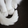 Logo of telegram channel owxiixksk — @
