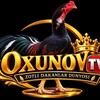 Oxunov dakanlari - Telegram Channels