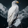 Telegram kanalining logotibi ozgarmayman — Phoenix