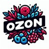 Логотип телеграм канала @ozonwbdiscount — Выгодный WB для девушек