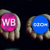 Логотип телеграм канала @ozonwbtop — Подборки Wildberries | Выгодный прайс