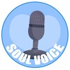 Логотип телеграм канала @ozvychkaotsoulvoice — Студия Soulvoice