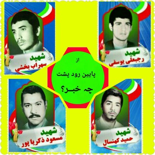 لوگوی کانال تلگرام p_r_posht — ✔پائین رود پشت