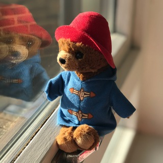 Логотип телеграм канала @paddingtonj — Паддингтонь