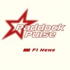 Логотип телеграм канала @paddockpulse1 — Paddock Pulse