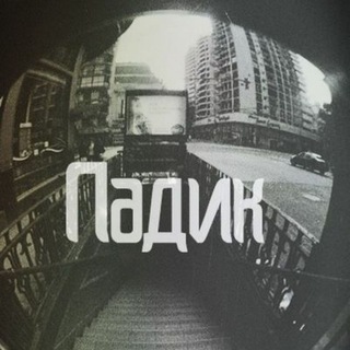 Логотип телеграм канала @padik59 — Новости падика