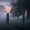 Логотип телеграм канала @pagan_traditions — AUTENTISKE PRODUKTER