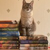 Логотип телеграм канала @page394si — Страница 394! Своя игра