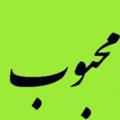 لوگوی کانال تلگرام pakhsheshakibaei — فروشگاه شکیبایی