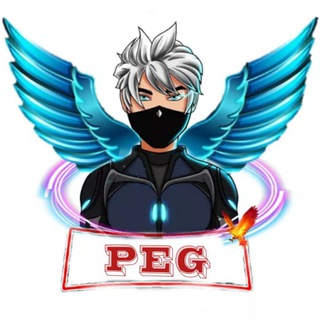 Logo of telegram channel pakkingyt — PAK EAGLE GAMING