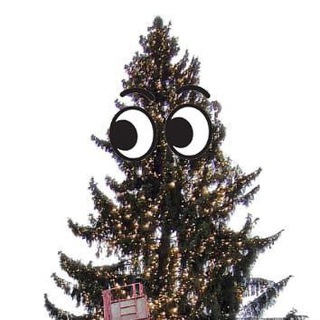 Логотип телеграм канала @palace_tree — Ёлка на Дворцовой