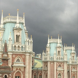 Telegram channel Царицыны будни logo