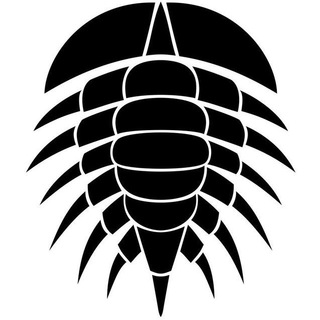 Логотип телеграм канала @paleohunters — Paleo Hunters