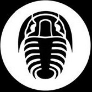 Логотип телеграм канала @paleonews — Paleonews.live — Лига палеонтологии
