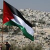 Логотип телеграм канала @palestina_info — Прямой эфир Палестина 🇵🇸