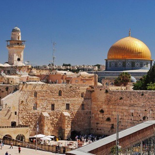 Логотип телеграм канала @palestine_israel_reality — Палестина - Израиль: вся правда