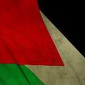 Logotipo del canal de telegramas palestinian890 - آلُِمجٍآهـدِ 𓂆آلُِفُلُِسطُيني🤞💚𓂆.