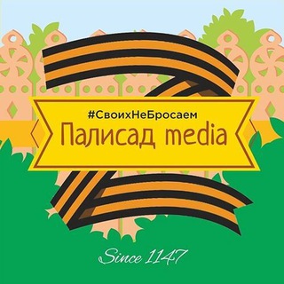 Логотип телеграм канала @palisadmedia — Палисад media