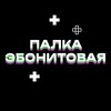 Логотип телеграм канала @palkaebonitovaya — Палка Эбонитовая | блог