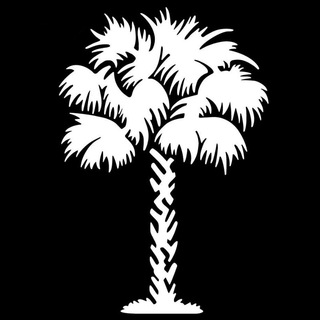 Логотип телеграм канала @palm1 — PALM1