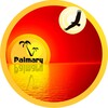 Логотип телеграм канала @palmaryclub — Palmary Club