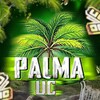 Telegram channel 🌴 PALMA UC 🌴 logo
