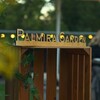Логотип телеграм канала @palmiragarden_animation — Palmira Garden | Life