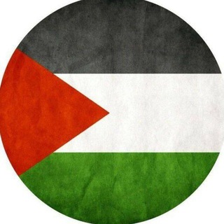 لوگوی کانال تلگرام palnws24 — أخبار فلسطين العاجلة 24
