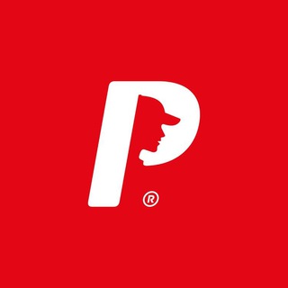 Логотип телеграм канала @palton4ik — Palton4ik