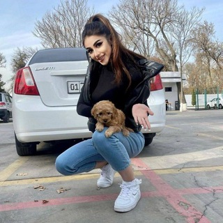 Telegram channel ❤️Parizoda Usmonova❤️ logo