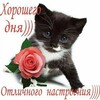 Логотип телеграм канала @panasonikcf — панасонек